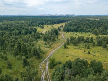 Yeşil yaz ormanlarında toprak yol. Hava aracı görünümü.