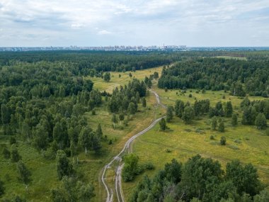Yeşil yaz ormanlarında toprak yol. Hava aracı görünümü.