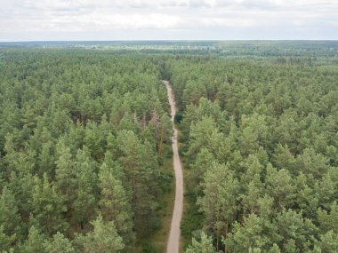 Yeşil yaz ormanlarında toprak yol. Hava aracı görünümü.