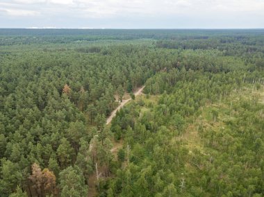 Yeşil yaz ormanlarında toprak yol. Hava aracı görünümü.