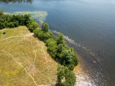 Yazın nehir kıyısında. Hava aracı görünümü.