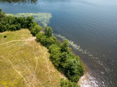 Yazın nehir kıyısında. Hava aracı görünümü.