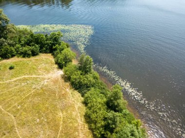 Yazın nehir kıyısında. Hava aracı görünümü.
