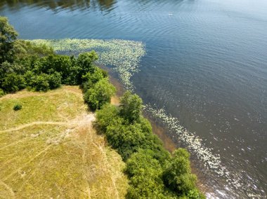 Yazın nehir kıyısında. Hava aracı görünümü.