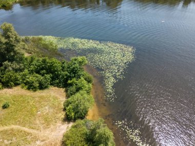 Yazın nehir kıyısında. Hava aracı görünümü.