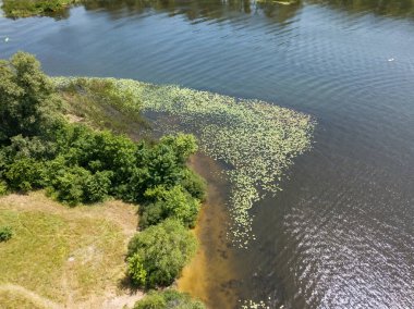 Yazın nehir kıyısında. Hava aracı görünümü.