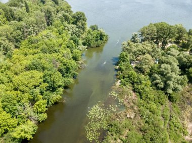 Yazın yeşil ağaçların arasında bir nehir. Hava aracı görünümü.