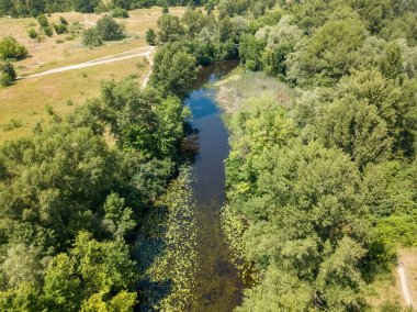 Yazın yeşil ağaçların arasında bir nehir. Hava aracı görünümü.