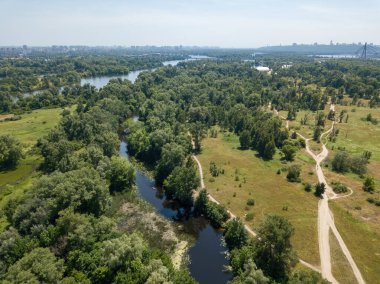 Yazın yeşil ağaçların arasında bir nehir. Hava aracı görünümü.