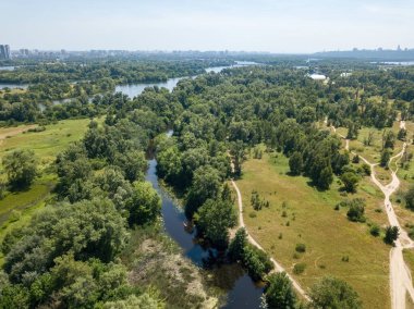 Yazın yeşil ağaçların arasında bir nehir. Hava aracı görünümü.