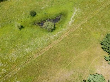 Yeşil bir çayırdan geçen toprak yol. Hava aracı görünümü.