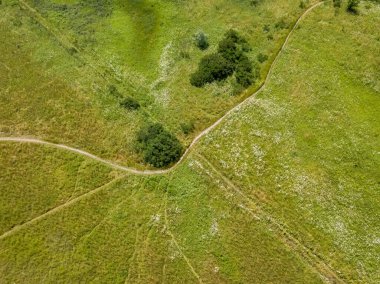 Yeşil bir çayırdan geçen toprak yol. Hava aracı görünümü.