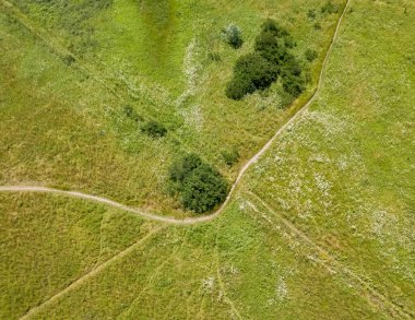 Yeşil bir çayırdan geçen toprak yol. Hava aracı görünümü.