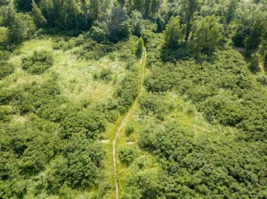 Yeşil bir çayırdan geçen toprak yol. Hava aracı görünümü.