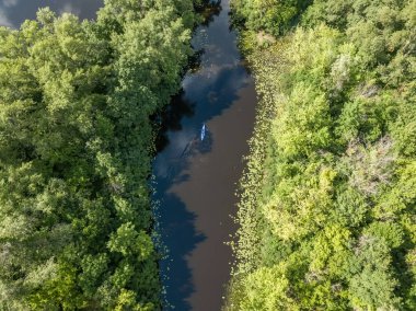 Yazın yeşil kıyıları olan dar bir nehirde kano. Hava aracı görünümü.