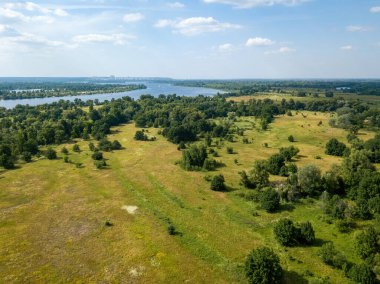 Yazın nehrin yanındaki yeşil çayır. Hava aracı görünümü.