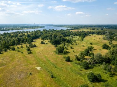 Yazın nehrin yanındaki yeşil çayır. Hava aracı görünümü.