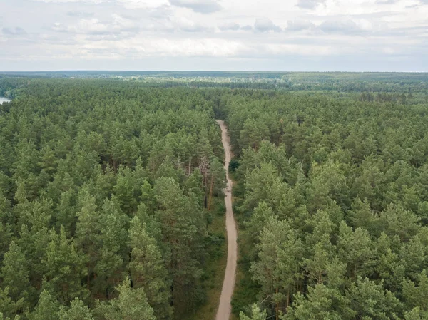 Yeşil yaz ormanlarında toprak yol. Hava aracı görünümü.