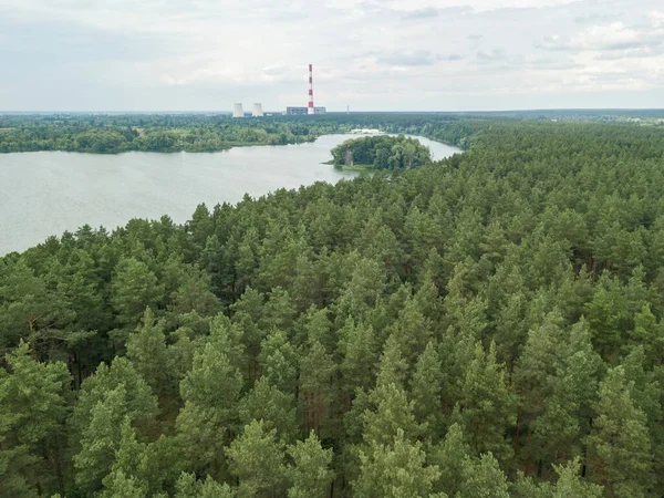 Yazın Forest Gölü. Hava aracı görünümü.