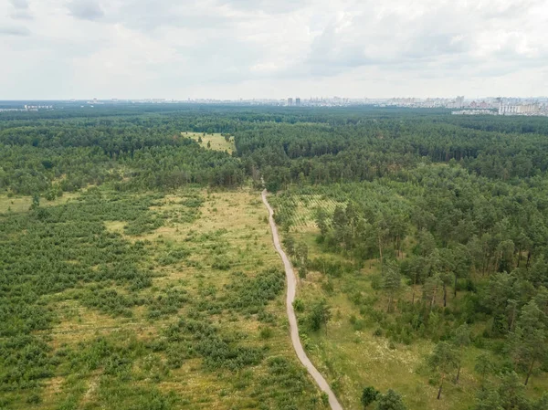 Smutsig Stig Den Sommargröna Skogen Flygdrönare — Stockfoto