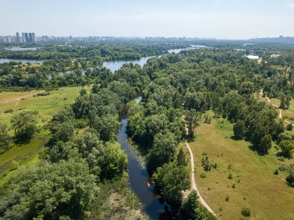 Fluss Zwischen Grünen Bäumen Sommer Drohnenblick Aus Der Luft — Stockfoto