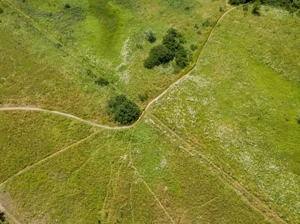 緑の牧草地を介して未舗装の道路 空中ドローンビュー — ストック写真