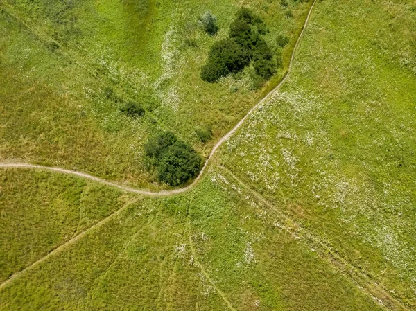 Chemin Terre Travers Une Prairie Verte Vue Aérienne Drone — Photo
