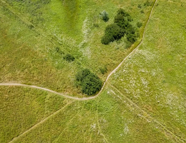 Földút Egy Zöld Mezőn Légi Drónra Néző — Stock Fotó
