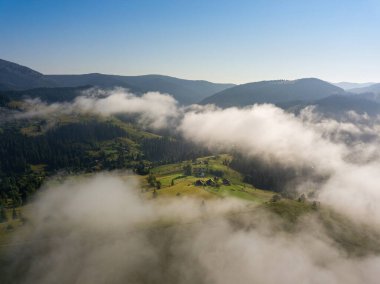 İnce bir sabah sisi Ukrayna dağlarını kaplıyor. Dağların yamaçlarında yeşil çimenler. Kıvırcık ince bir sis dağların üzerine yayılıyor. Hava aracı görünümü.