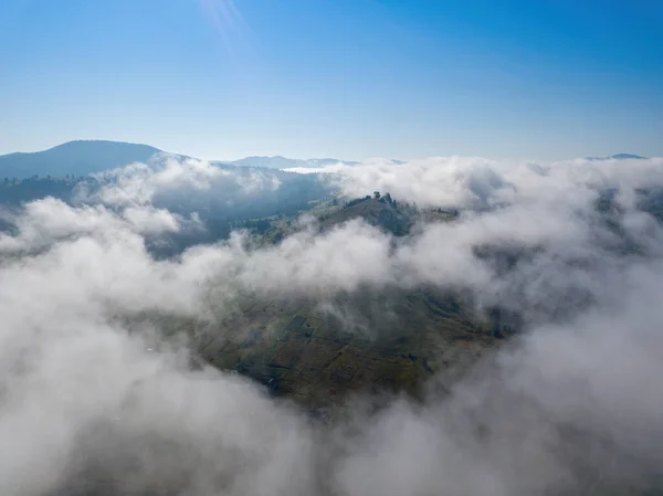 Una Fina Niebla Matutina Cubre Las Montañas Ucranianas Hierba Verde — Foto de Stock