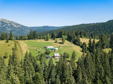 Güneşli bir yaz sabahında Ukrayna Karpatlarının yeşil dağları. Dağ yamaçlarında kozalaklı ağaçlar ve yeşil çimenler. Hava aracı görünümü.