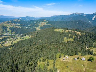 Güneşli bir yaz sabahında Ukrayna Karpatlarının yeşil dağları. Dağ yamaçlarında kozalaklı ağaçlar ve yeşil çimenler. Hava aracı görünümü.
