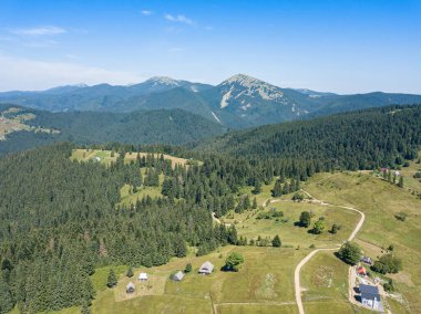 Güneşli bir yaz sabahında Ukrayna Karpatlarının yeşil dağları. Dağ yamaçlarında kozalaklı ağaçlar ve yeşil çimenler. Hava aracı görünümü.