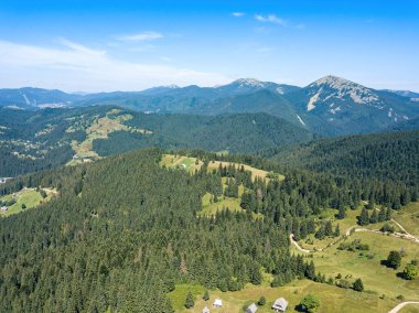 Güneşli bir yaz sabahında Ukrayna Karpatlarının yeşil dağları. Dağ yamaçlarında kozalaklı ağaçlar ve yeşil çimenler. Hava aracı görünümü.