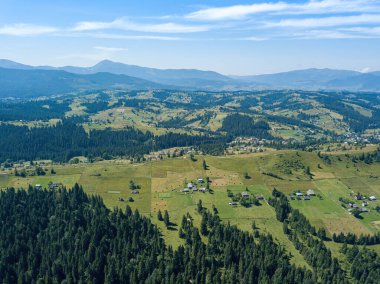 Güneşli bir yaz sabahında Ukrayna Karpatlarının yeşil dağları. Dağ yamaçlarında kozalaklı ağaçlar ve yeşil çimenler. Hava aracı görünümü.