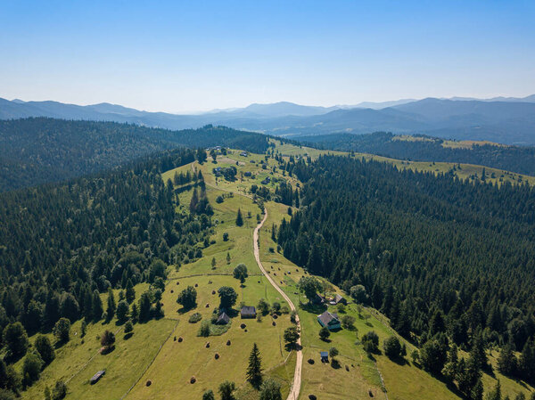 Green mountains of the Ukrainian Carpathians on a sunny summer morning. Coniferous trees on the mountain slopes and green grass. Dirt road on the mountainside. Aerial drone view.