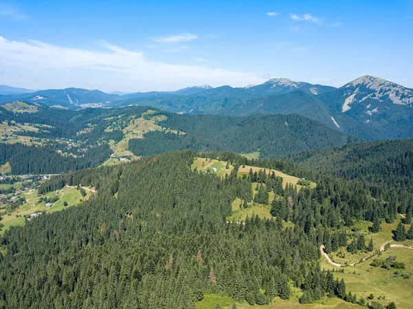 Groene Bergen Van Oekraïense Karpaten Een Zonnige Zomerochtend Naaldbomen Berghellingen — Stockfoto