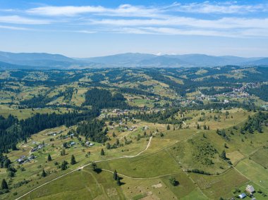 Güneşli bir yaz sabahında Ukrayna Karpatlarının yeşil dağları. Dağ yamaçlarında kozalaklı ağaçlar ve yeşil çimenler. Hava aracı görünümü.