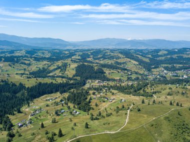 Güneşli bir yaz sabahında Ukrayna Karpatlarının yeşil dağları. Dağ yamaçlarında kozalaklı ağaçlar ve yeşil çimenler. Hava aracı görünümü.