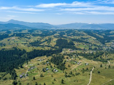 Güneşli bir yaz sabahında Ukrayna Karpatlarının yeşil dağları. Dağ yamaçlarında kozalaklı ağaçlar ve yeşil çimenler. Hava aracı görünümü.