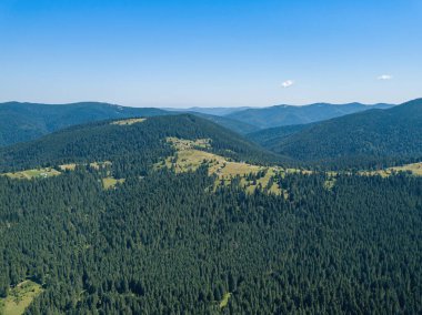 Güneşli bir yaz sabahında Ukrayna Karpatlarının yeşil dağları. Dağ yamaçlarında kozalaklı ağaçlar ve yeşil çimenler. Hava aracı görünümü.