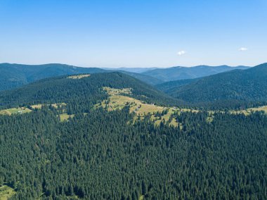 Güneşli bir yaz sabahında Ukrayna Karpatlarının yeşil dağları. Dağ yamaçlarında kozalaklı ağaçlar ve yeşil çimenler. Hava aracı görünümü.