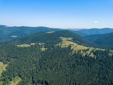Güneşli bir yaz sabahında Ukrayna Karpatlarının yeşil dağları. Dağ yamaçlarında kozalaklı ağaçlar ve yeşil çimenler. Hava aracı görünümü.