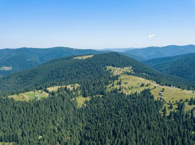Güneşli bir yaz sabahında Ukrayna Karpatlarının yeşil dağları. Dağ yamaçlarında kozalaklı ağaçlar ve yeşil çimenler. Hava aracı görünümü.