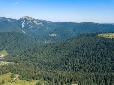 Güneşli bir yaz sabahında Ukrayna Karpatlarının yeşil dağları. Dağ yamaçlarında kozalaklı ağaçlar ve yeşil çimenler. Hava aracı görünümü.