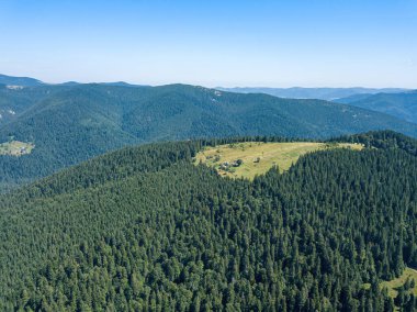 Güneşli bir yaz sabahında Ukrayna Karpatlarının yeşil dağları. Dağ yamaçlarında kozalaklı ağaçlar ve yeşil çimenler. Hava aracı görünümü.
