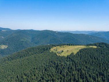Güneşli bir yaz sabahında Ukrayna Karpatlarının yeşil dağları. Dağ yamaçlarında kozalaklı ağaçlar ve yeşil çimenler. Hava aracı görünümü.