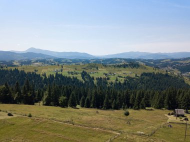 Güneşli bir yaz sabahında Ukrayna Karpatlarının yeşil dağları. Dağ yamaçlarında kozalaklı ağaçlar ve yeşil çimenler. Hava aracı görünümü.