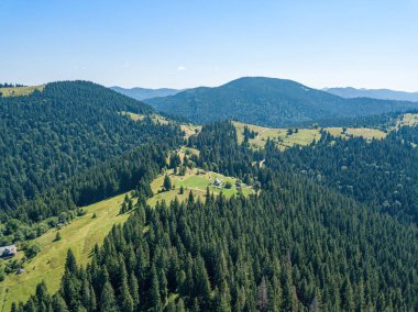 Güneşli bir yaz sabahında Ukrayna Karpatlarının yeşil dağları. Dağ yamaçlarında kozalaklı ağaçlar ve yeşil çimenler. Hava aracı görünümü.
