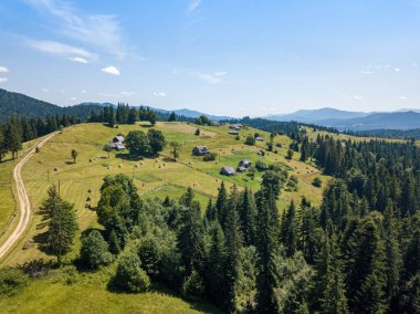 Güneşli bir yaz sabahında Ukrayna Karpatlarının yeşil dağları. Dağ yamaçlarında kozalaklı ağaçlar ve yeşil çimenler. Dağ yamacındaki toprak yol. Hava aracı görünümü.